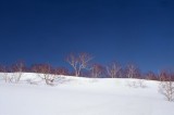 Winter in Mount Baekdu