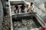 Bangladeshi Tannery Workers Claimed To Be Exposed To Health Risk