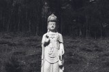 Buddha and the woods of Inje