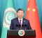 President Xi highlighjts significance of Arab-China relations