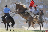 <2011 Top News> Horse Riding Celebration for Labor Day