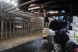 Bear bile maker, under fire, opens farm to reporters