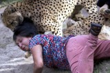 Narrow Escape From Cheetahs