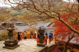 Autumn getaways at temples