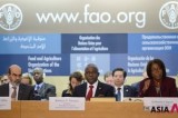 Ceremony Held At FAO Headquarters In Rome To Celebrate World Food Day