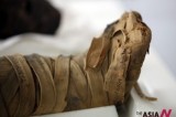 Penn Museum Installs Artifact Lab To Repair Egyptian Human, Animal Mummies