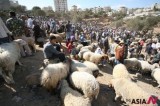 Scene Of Palestinian Livestock Market In Bethlehem Ahead Of Eid Al-Adha Festival