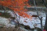 [Korea Report] People enjoy autumn leaves ablaze with a variety of colors