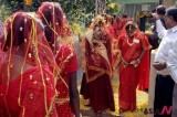 Brides Walk In A Procession During A Mass Marriage Arranged For Poor Couples In India