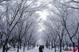 People walk through a snow-covered street in Goyang, South Korea