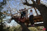 Syrian children wait for arrival of helping hand on a tree at refugee camp in Lebanon