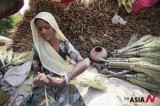 An Indian nomadic woman makes brooms for a living