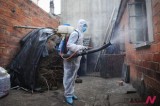 A Chinese sanitation worker sprays disinfectant to bird flu confirmed house