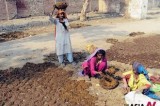 Using dung-cakes as fuel in resource rich Pakistan