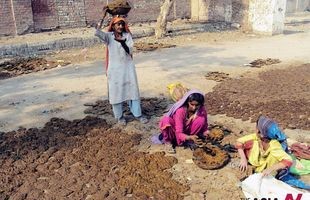 Using dung-cakes as fuel in resource rich Pakistan