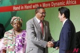 Private sector role stressed at Japanese-African leaders’ meeting
