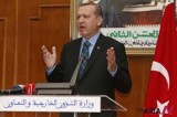 Turkish PM Erdogan rejects comparison with Arab Spring uprisings