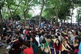 Turkish court rules cancellation of Gezi Park demolition plan in question