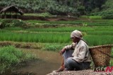 India passes $20 bln law to expand food welfare