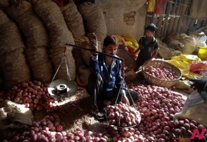 Indian vendor weighing onions