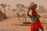 Drought and Famine in Thar Desert of Pakistan: INGOs stay away from helping starved and ailing children