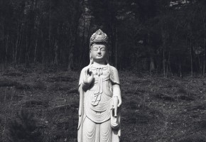 Buddha and the woods of Inje