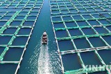 China to invest Iran’s fisheries, aquaculture