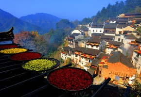 Colorful Scenes from China