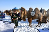 Winter Nadam and camel fair held in Inner Mongolia
