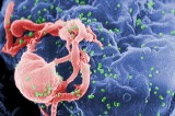 South Korea: refusing checkup is discrimination against HIV carrier