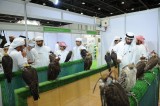 Abu Dhabi exhibition to bring international hunting, equestrian communities together