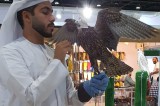 The UAE’s passion for falcons soars high at ADIHEX 2023