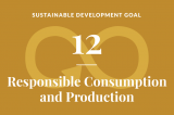 The ABCs of Sustainable Development Goals and Sudan’s situation XIII