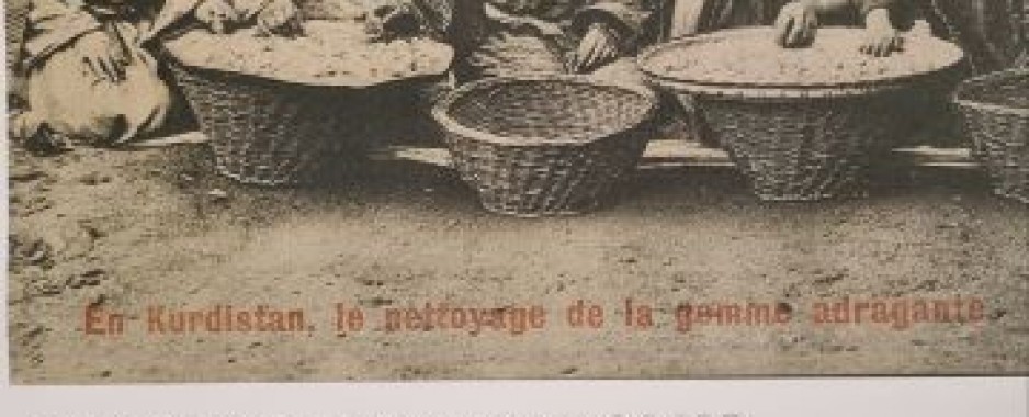 The journey of old Iranian postcards to France – One century later