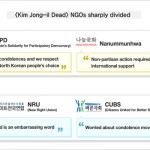 Analyses of the Korean NGOs