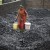 20120822-India Coal Scandal