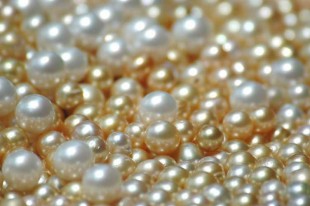 Ambon is well-known for it's high quality pearls  (http://www.thebalipearl.com/)