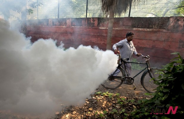 India Dengue