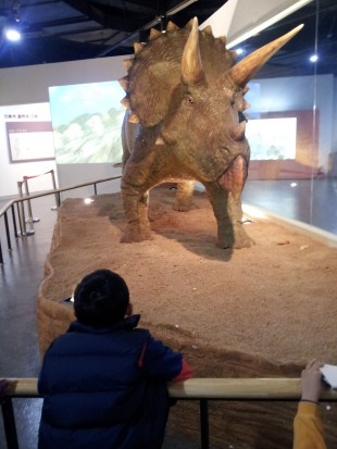 A children looks at a replica of dinosaur (Photo:Meidyana Rayana)