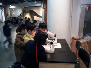 Kindergarten students use microscopes in Seoul National Science Museum (Photo: Meidyana Rayana)
