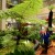 A passenger appreciates plants at Singapore’s Changi Airport. Changi International Airport has been decorated with lots of flowers and plants. It was named the world’s best again in 2013 by Skytrax, a website known for its reviews of the world’s airlines and airports. (Photo : Xinhua/NEWSis)