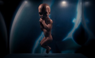 The infant model used in '2001: A Space Odyssey'