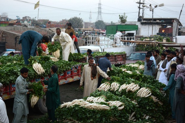 (161016) -- LAHORE (PAKISTAN), Oct. 16, 2016 (Xinhua) -- Pakistani vendors sell vegetables at a fruit and vegetable market on the World Food Day in eastern Pakistan's Lahore, on Oct. 16, 2016. World Food Day, which falls on Oct. 16, is an opportunity to raise awareness about undernourishment and encourage societies and all actors to end hunger. (Xinhua/Sajjad) (lr)