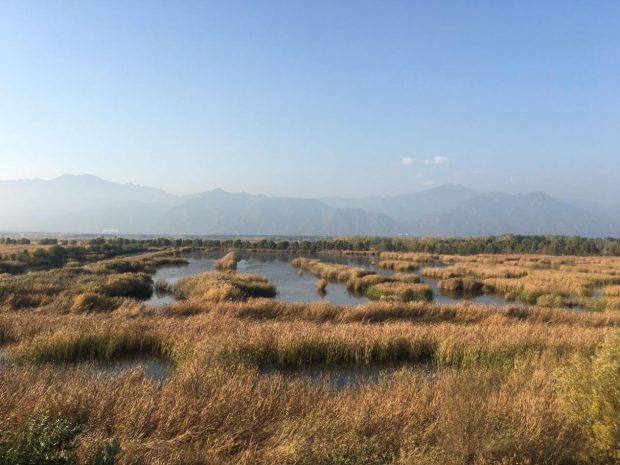 Yeya Lake Wetland Reserve in Yanqing district, Beijing. (Photo by Wang Hailin from People’s Daily)