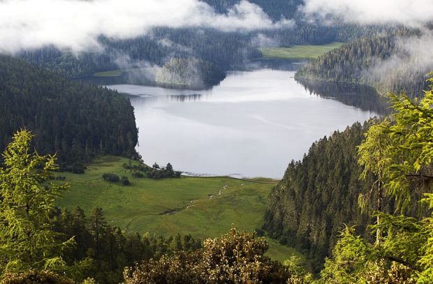 Potatso National Park, located at southwest China’s Yunnan province, is an important national wetland nature reserve. (Photo by Ding Wendong, Forest & Humankind 