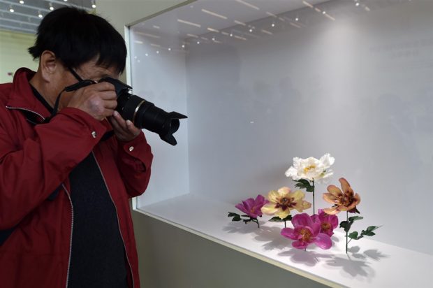 A tourist takes pictures of dried peony flowers at the International Garden of the 2019 Beijing International Horticultural Exhibition, April 29. (Photo by Weng Qiyu from People’s Daily Online)