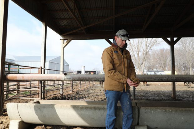 Lowell Neitzel, a fourth-generation rancher of the Bismarck ranch in Kansas, said his ranch has been going through a hard time since last year because of the tariffs. The US government provided $12 billion in subsidies in 2018 to aid the American ranchers whose interests were damaged in the trade war. However, the subsidies were far from enough when compared with what the farmers lost, Neitzel said. (Photo by Wu Lejun from People’s Daily)