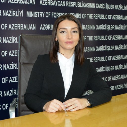 Leyla Abdullayeva (Twitter)
