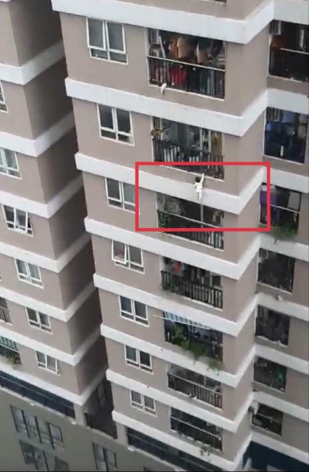 The-three-year-old-girl-climbed-out-of-a-balcony-of-her-apartment-on-the-12th-floor-of-a-building-in-Hanoi.jpg