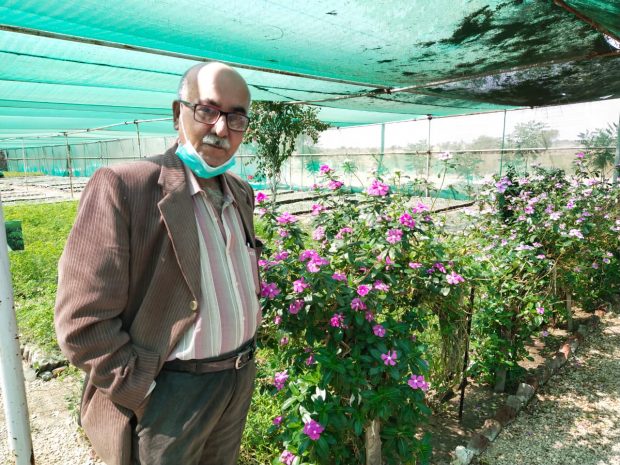 Author at flower nursery